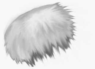 1006 X 477 10 - Fur Texture Png