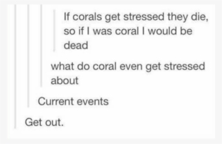 31 Hilarious Jokes That Are Actually Really Clever - Funny Quotes About Justin Bieber