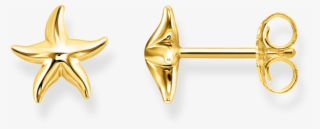 H2001 413 39 Aretes Estrella De Mar - Aretes De Estrella De Mar