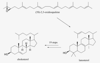 Image184 - Cholesterol Reaction With Sulfuric Acid
