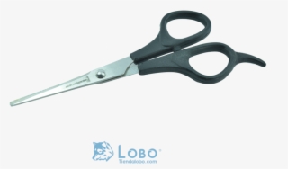 Tijera Estilista Estudiante Acero Inoxidable Negra - Scissors