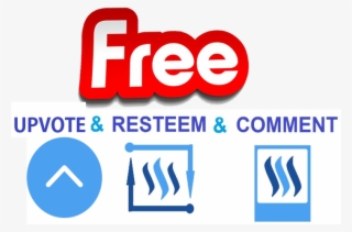 Picture1 - Only Sign