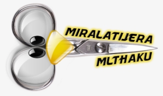 Vita Mlthaku R1 Beta De Miralatijera Disponible - Rear-view Mirror