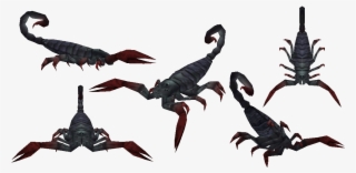Ark Survival Evolved Scorpion - Pulmonoscorpius Png