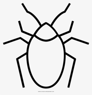 Cockroaches Coloring Page - Imagenes De Cucaracha Para Dibujar