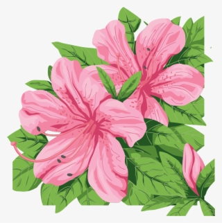Azalea Clip Art - Stargazer Lily