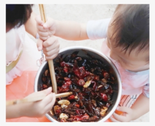 Expandir Imagen - Cockroach