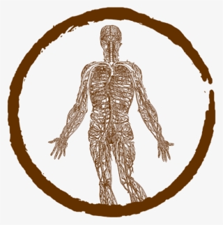 Nervous System Rebalance For Chronic Stress Santa Cruz