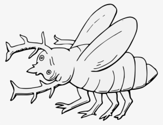 Stag Beetle Fesswise - Line Art