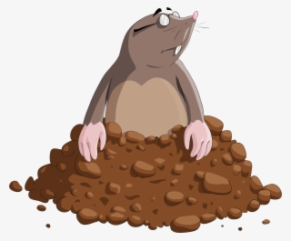 Mole Cartoon Png Clipart Image - Mole Clipart