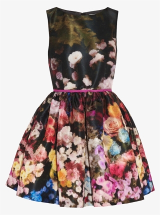 Red Valentino Floral Print Taffeta Dress - Ariana Grande Thanksgiving Outfits