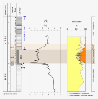 Abundance Patterns Of Calcareous Nannoplankton Excursion - Diagram