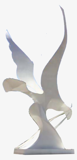 Paloma De La Paz - Buzzard