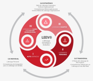 Leev® Constituye Un Modelo De Desarrollo Basado En - Circle