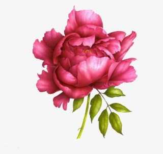 Love Peonies Like This For Tattoos - Realistic Peony Drawing