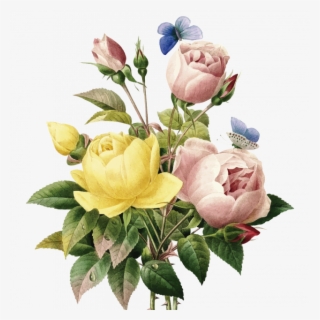 Poster Lindas Flores - Vintage Flower Illustration