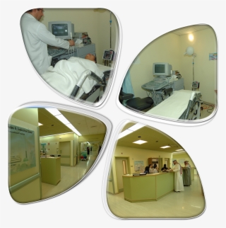 The Obesity, Endocrine, And Metabolism Center Was Established - Rear-view Mirror