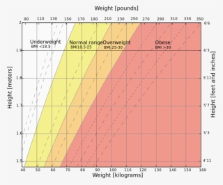 A Study, Published In The Annals Of Internal Medicine, - Bmi Graph