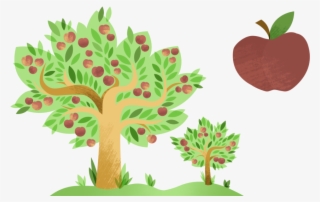 Apple Assets Apple Tree