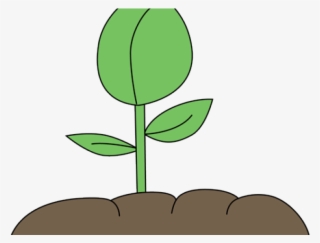 Graphic Tree Free Download Clip Art Carwad