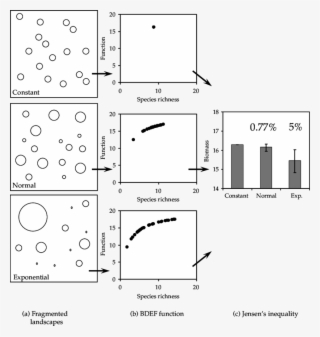 2 Spatial Variation In Species Richness Due To Variation - Graphic Design