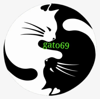 Gato69 On Twitter - Cat Yin And Yang