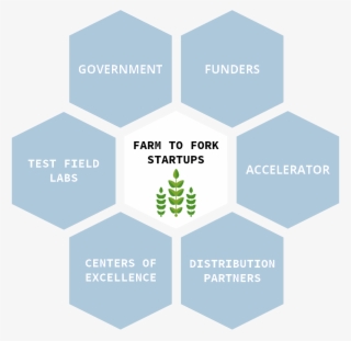 Gastrotope Is A Catalyst In The Formation Of A New - Early Childhood Trauma