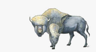 Bison