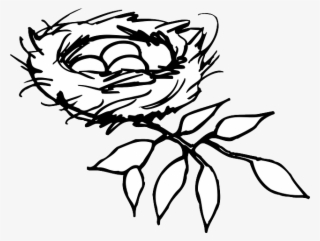 Nest, Eggs, Birds, Branch, Mystery, New, Life, Care - Nest Clipart Black And White
