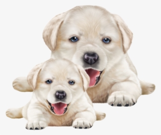 Фото, Автор Иришка-манюшка На Яндекс - Jó Reggelt Végre Péntek