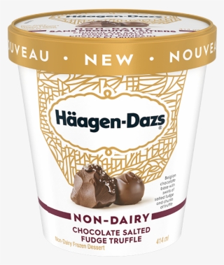 Non-dairy Chocolate Salted Fudge Truffle - Haagen Dazs Vanilla Ice Cream