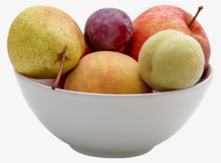 Download - Fruit