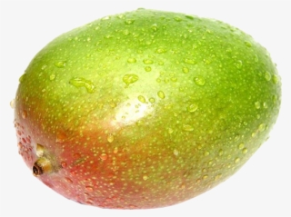 Green Farm - Avocado
