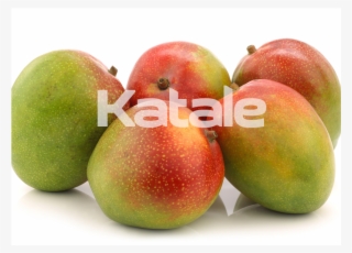 Kent Mangoes - Mango