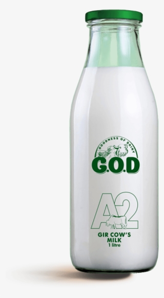 Organic Gir Cow Milk, Desi Gir Cow, G - Plastic Bottle