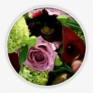 Flowers & Bouquets - Floribunda