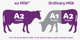 As Far As Charak Amurth Milk Is Concerned Both Regular - A1 And A2 Milk