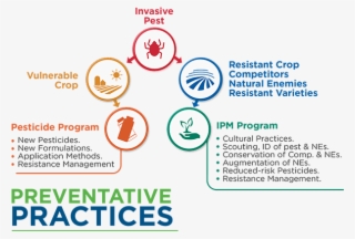 When An Invasive Pest Attacks A Vulnerable Crop, One - Crop Protection Methods