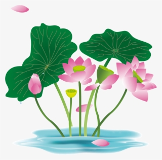 Hand Painted Flower Plant Water Lily Png And Vector - Vector Graphics