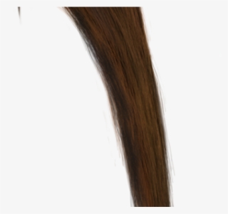 Brown Hair Clipart Overlay Photoshop - Lace Wig