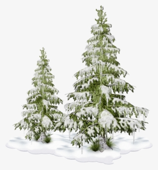 Freetoedit Nature Tree Christmastree Snow Winter - Tube Png Cluster Hiver