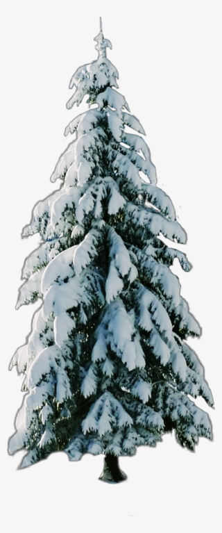 Report Abuse - Christmas Tree