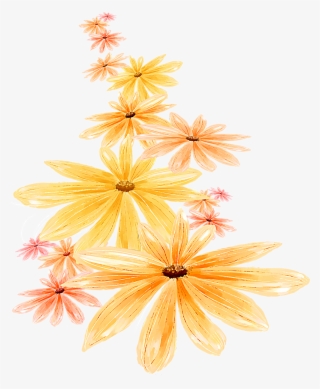 手绘菊花洋甘菊 - Still Life Photography