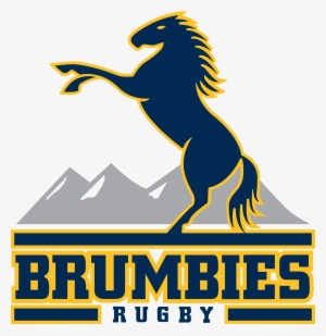 The Mystique Of The Brumbies - Brumbies Logo