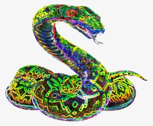 Night Star Snake - Night