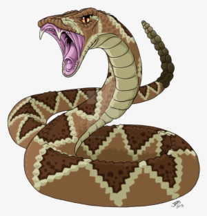 Snakeskin Drawing Rattlesnake - Western Diamondback Rattlesnake Drawing