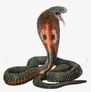 Cobra Vector Snake Plissken - Serpent Cobra