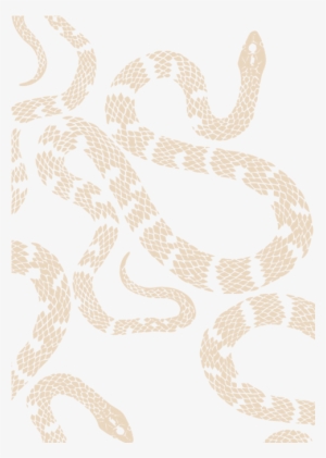 Motif