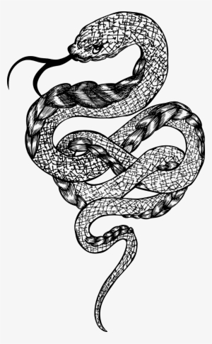 Rattlesnake Boa Constrictor - Snake Illustration Png