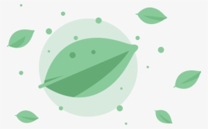 Matcha - Circle